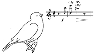 Bird Sings Notes